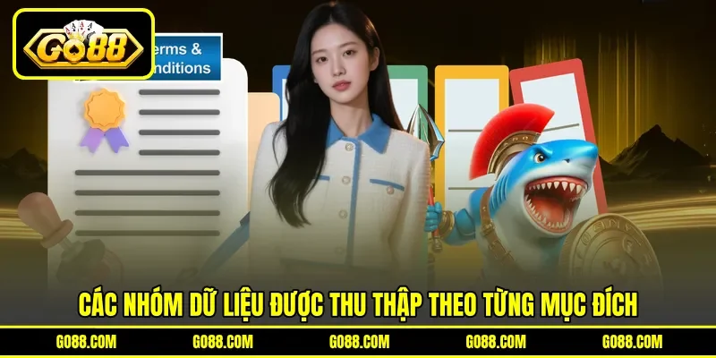 Các nhóm dữ liệu được thu thập theo từng mục đích Các nhóm dữ liệu được thu thập theo từng mục đích