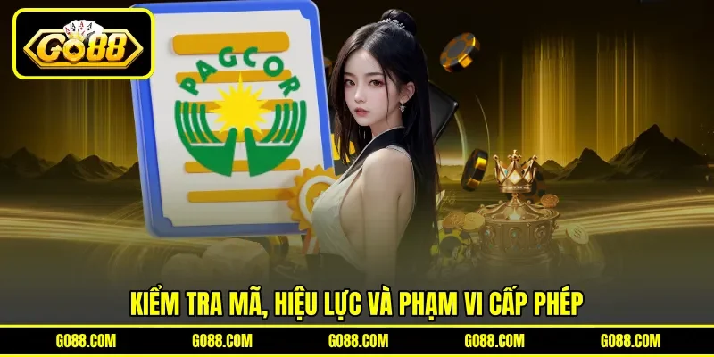 Kiểm tra mã, hiệu lực và phạm vi cấp phép