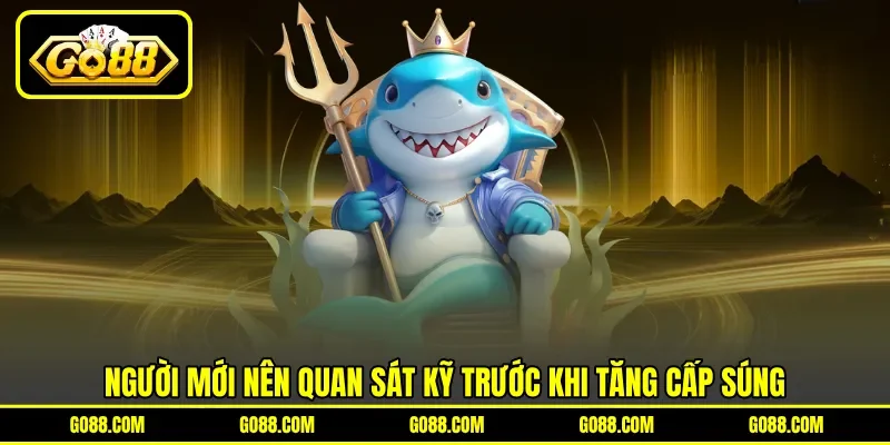 Người mới nên quan sát kỹ trước khi tăng cấp súng